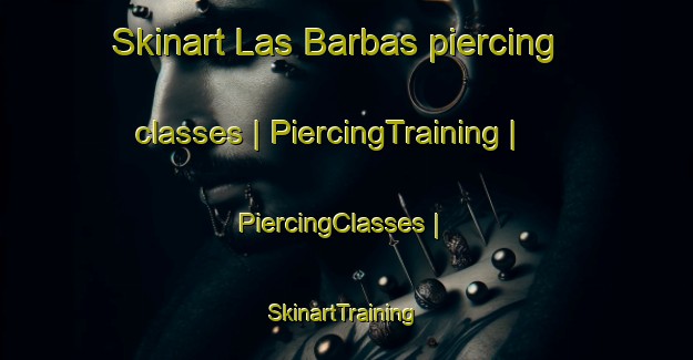 Skinart Las Barbas piercing classes | PiercingTraining | PiercingClasses | SkinartTraining-Mexico